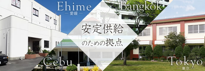 2.東京、愛媛、バンコク、セブ ― 安定供給のための拠点