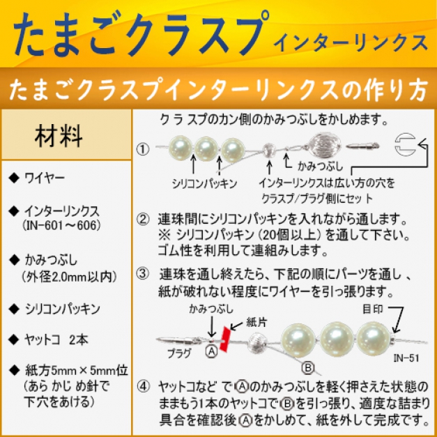 SVインターリンクス IN-601